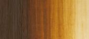 Raw Umber Light